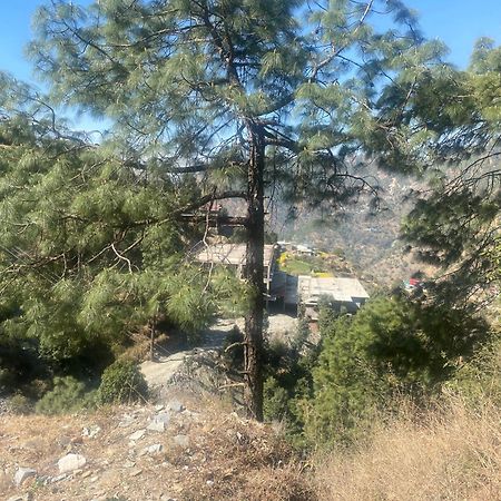 Aditya Homestay Dalhousie Luaran gambar