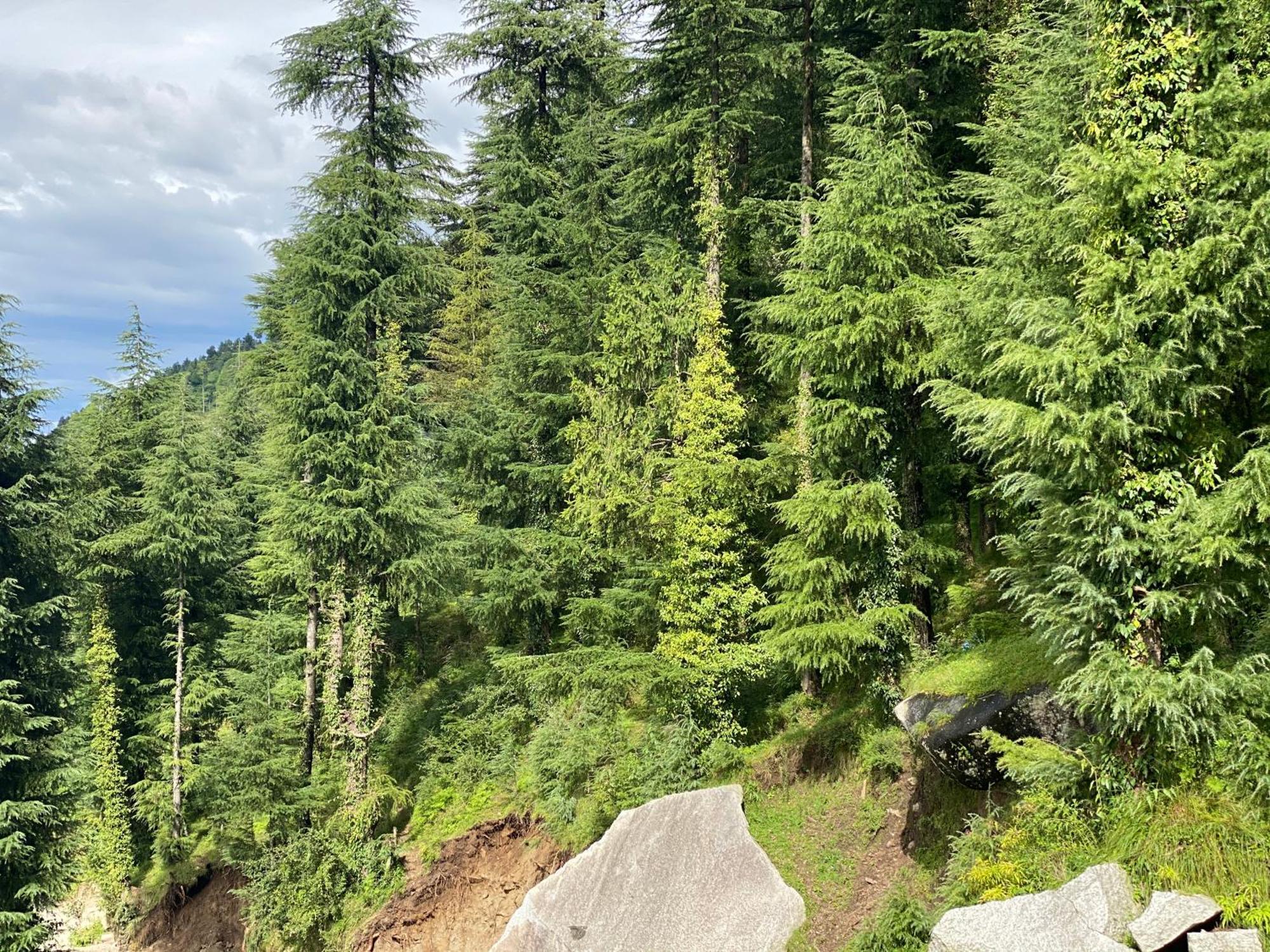 Aditya Homestay Dalhousie Luaran gambar