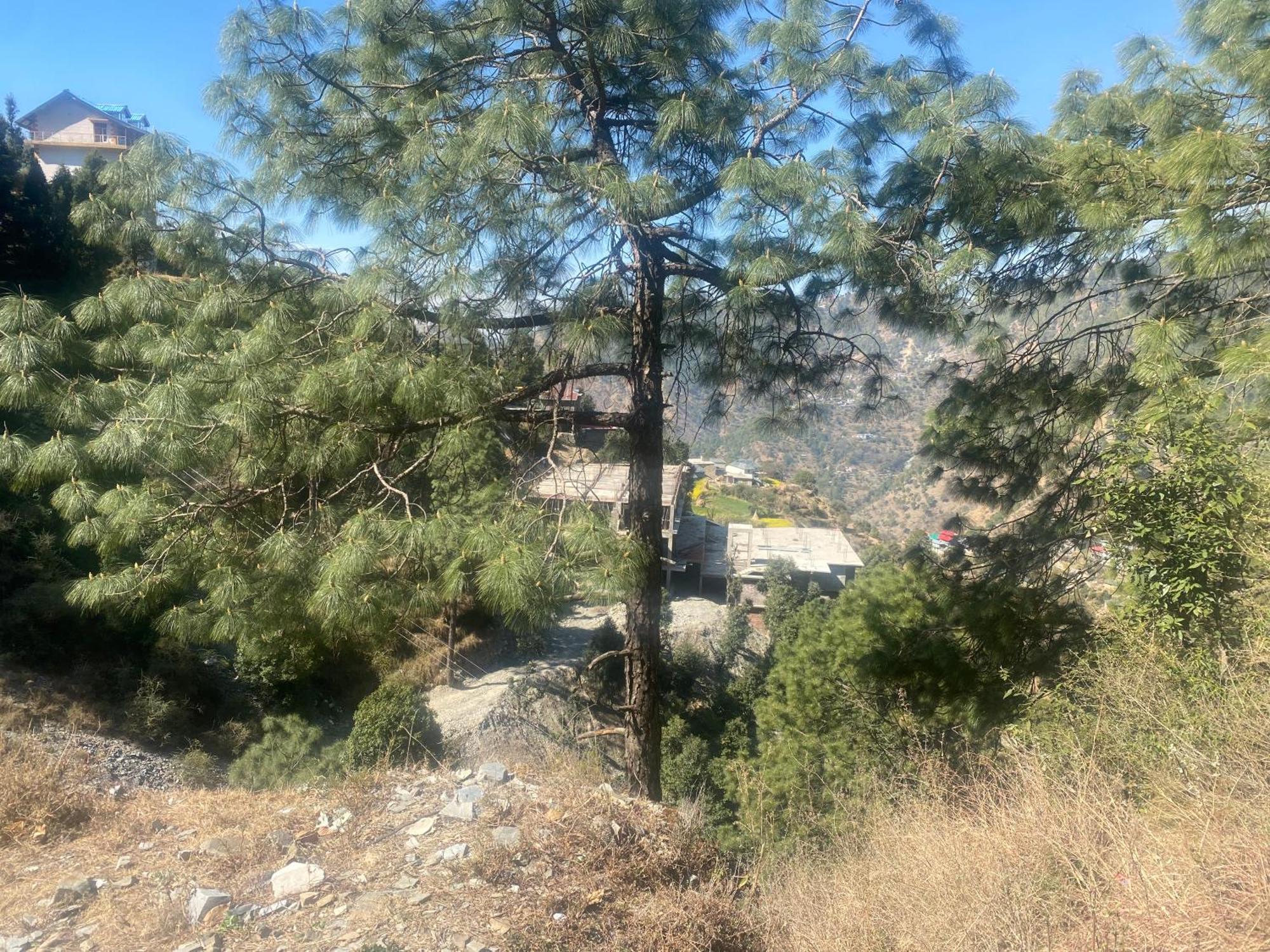 Aditya Homestay Dalhousie Luaran gambar