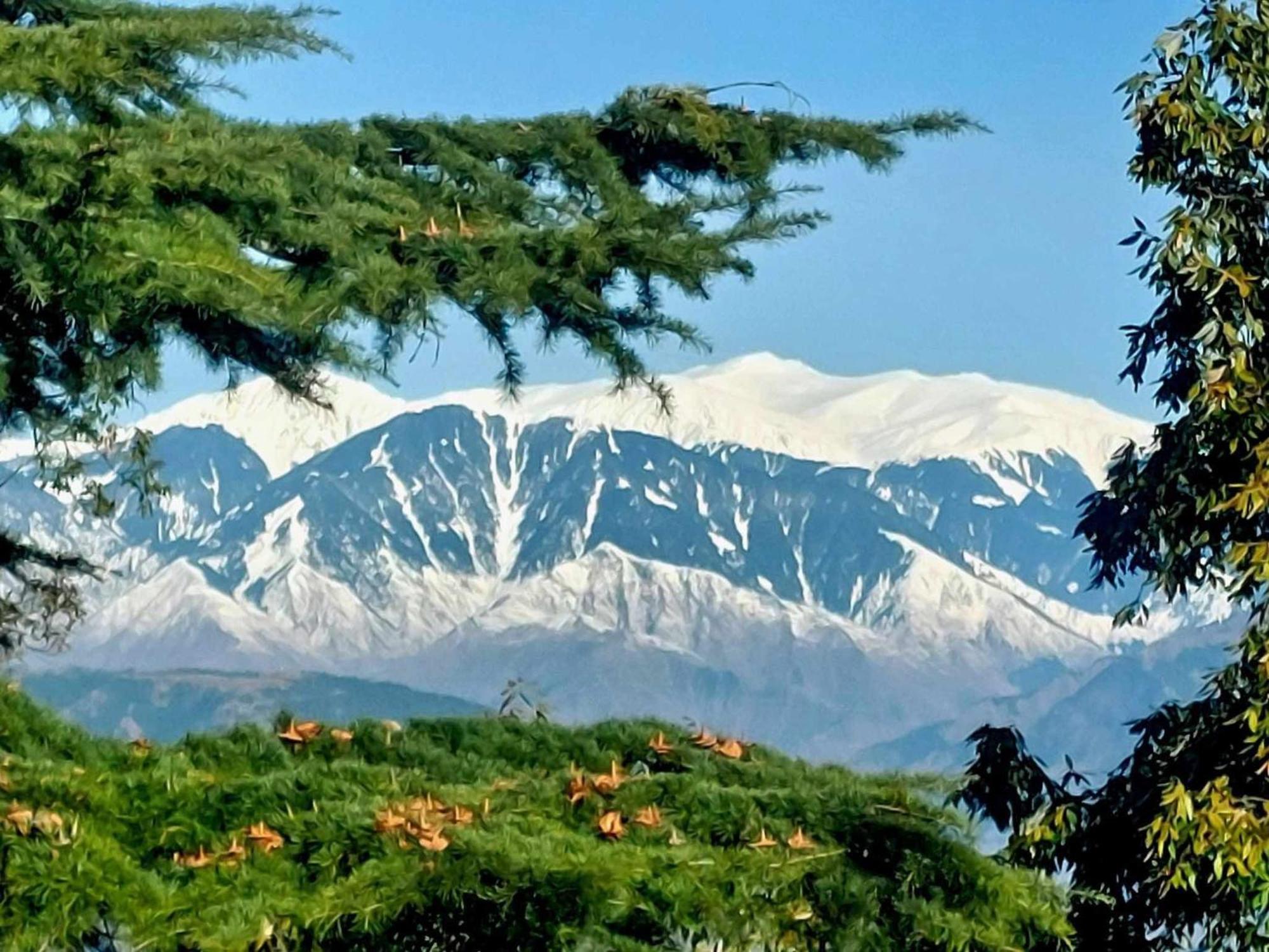Aditya Homestay Dalhousie Luaran gambar